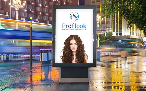 Profilook - company's image